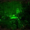 Predator: Hunting Grounds EU Steam CD Key Predator: Hunting Grounds EU Steam CD Key