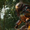 Predator: Hunting Grounds EU Steam CD Key Predator: Hunting Grounds EU Steam CD Key