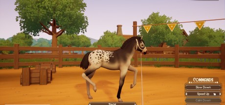 The Ranch of Rivershine PC Steam CD Key