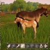 The Ranch of Rivershine PC Steam CD Key