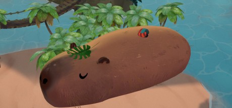 Aka PC Steam CD Key Aka PC Steam CD Key