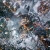 Frostpunk 2 PC Windows CD Key Frostpunk 2 PC Windows CD Key