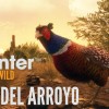 theHunter: Call of the Wild - Rancho del Arroyo DLC PC Steam CD Key