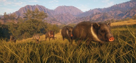 theHunter: Call of the Wild - Rancho del Arroyo DLC EU PC Steam CD Key theHunter: Call of the Wild - Rancho del Arroyo DLC EU PC Steam CD Key