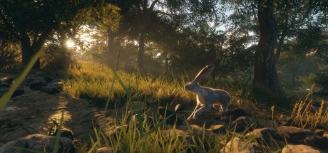 theHunter: Call of the Wild - Rancho del Arroyo DLC EU PC Steam CD Key theHunter: Call of the Wild - Rancho del Arroyo DLC EU PC Steam CD Key