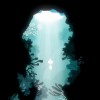 Koira PC Steam CD Key