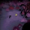 Koira PC Steam CD Key