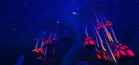 Critter Cove PC Steam CD Key