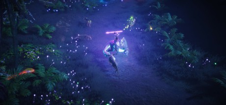 Coridden PC Steam CD Key