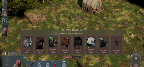 Solasta: Crown of the Magister - Primal Calling DLC EU PC Steam CD Key Solasta: Crown of the Magister - Primal Calling DLC EU PC Steam CD Key