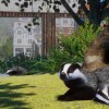 Planet Zoo - Europe Pack DLC MEA Steam CD Key