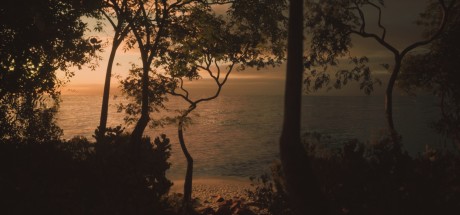 Lushfoil Photography Sim PC Steam CD Key