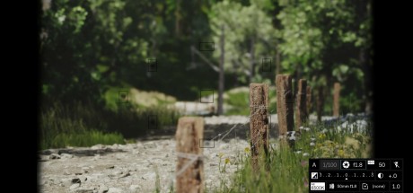 Lushfoil Photography Sim PC Steam CD Key