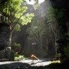 Spirit of the North 2 Xbox Series X|S CD Key Spirit of the North 2 Xbox Series X|S CD Key