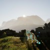 Spirit of the North 2 Xbox Series X|S CD Key Spirit of the North 2 Xbox Series X|S CD Key