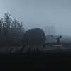 INSIDE + LIMBO Bundle PC Steam CD Key