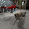House Flipper Pets VR RoW Steam CD Key