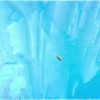 Dave the Diver PC Steam CD Key Dave the Diver PC Steam CD Key