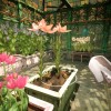 Garden Life: A Cozy Simulator PC Steam CD Key Garden Life: A Cozy Simulator PC Steam CD Key