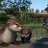 Planet Zoo - Wetlands Animal Pack DLC Steam CD Key