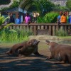 Planet Zoo - Wetlands Animal Pack DLC Steam CD Key
