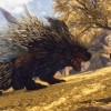 WILD HEARTS EN Language Only EA App CD Key