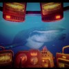 Under The Waves EU XBOX One / Xbox Series X|S CD Key