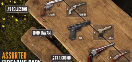 theHunter: Call of the Wild - Assorted Sidearms Pack DLC PC Steam CD Key theHunter: Call of the Wild - Assorted Sidearms Pack DLC PC Steam CD Key