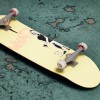 Session: Skate Sim - Brandalised Pack DLC Steam CD Key Session: Skate Sim - Brandalised Pack DLC Steam CD Key