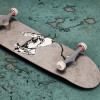 Session: Skate Sim - Brandalised Pack DLC Steam CD Key Session: Skate Sim - Brandalised Pack DLC Steam CD Key