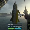 Ultimate Fishing Simulator - Taupo Lake DLC Steam CD Key