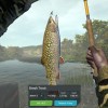 Ultimate Fishing Simulator - Taupo Lake DLC Steam CD Key