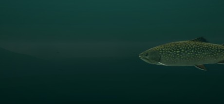 Ultimate Fishing Simulator - Taupo Lake DLC Steam CD Key Ultimate Fishing Simulator - Taupo Lake DLC Steam CD Key