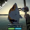 Ultimate Fishing Simulator - Taupo Lake DLC Steam CD Key
