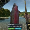Ultimate Fishing Simulator - Taupo Lake DLC Steam CD Key