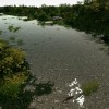Ultimate Fishing Simulator - Taupo Lake DLC Steam CD Key