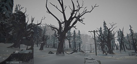 The Long Dark - Tales from the Far Territory DLC Steam CD Key The Long Dark - Tales from the Far Territory DLC Steam CD Key