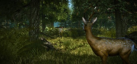 The Witcher 2: Assassins of Kings Enhanced Edition Steam CD Key 