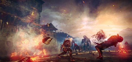 The Witcher 2: Assassins of Kings Enhanced Edition Steam CD Key 