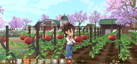 Story of Seasons: A Wonderful Life LATAM Steam CD Key Story of Seasons: A Wonderful Life LATAM Steam CD Key