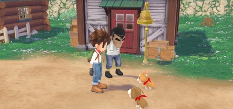 Story of Seasons: A Wonderful Life LATAM Steam CD Key Story of Seasons: A Wonderful Life LATAM Steam CD Key