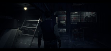 Until Dawn NA PC Steam CD Key