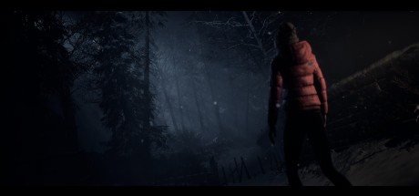 Until Dawn NA PC Steam CD Key