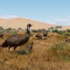 Planet Zoo - Grasslands Animal Pack DLC Steam CD Key Planet Zoo - Grasslands Animal Pack DLC Steam CD Key