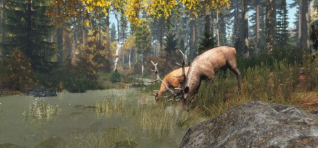 DayZ EU PC Steam CD Key DayZ EU PC Steam CD Key