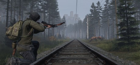 DayZ EU PC Steam CD Key DayZ EU PC Steam CD Key