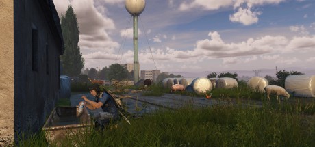 DayZ EU PC Steam CD Key DayZ EU PC Steam CD Key