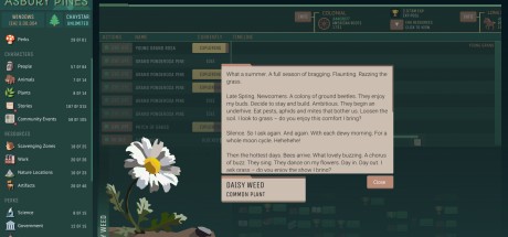 Asbury Pines PC Steam CD Key