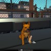 The Tenants - Pets DLC PC Steam CD Key