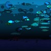 Chillquarium PC Steam CD Key